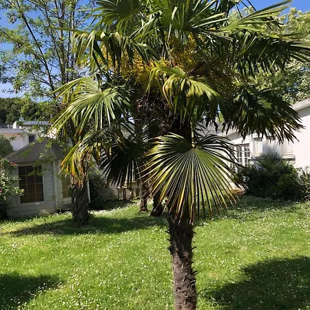 Apartment Louise A 500 M Des Plages *