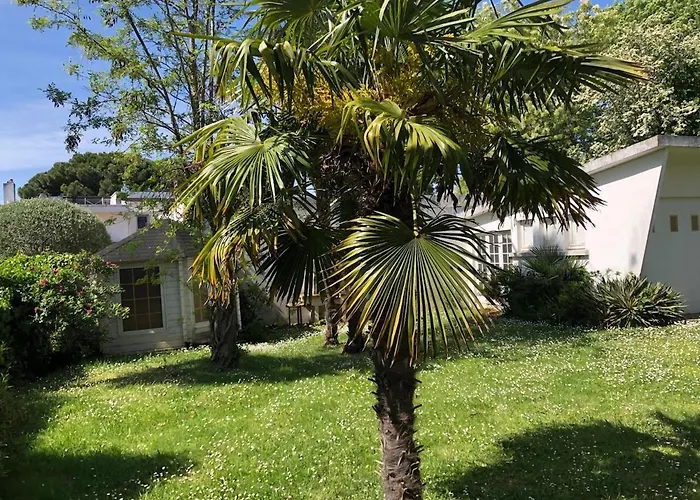 Lejlighed Louise A 500 M Des Plages *