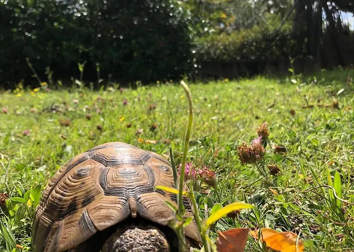 Lejlighed Louise A 500 M Des Plages *