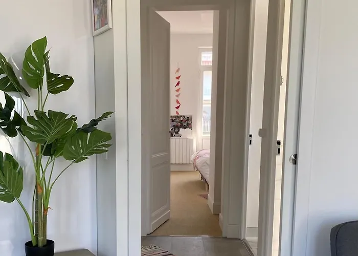 Louise A 500 M Des Plages * Royan